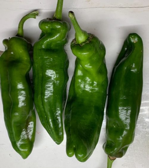 Pimiento Italiano