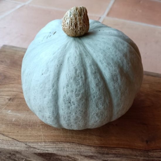 Calabaza poti azul