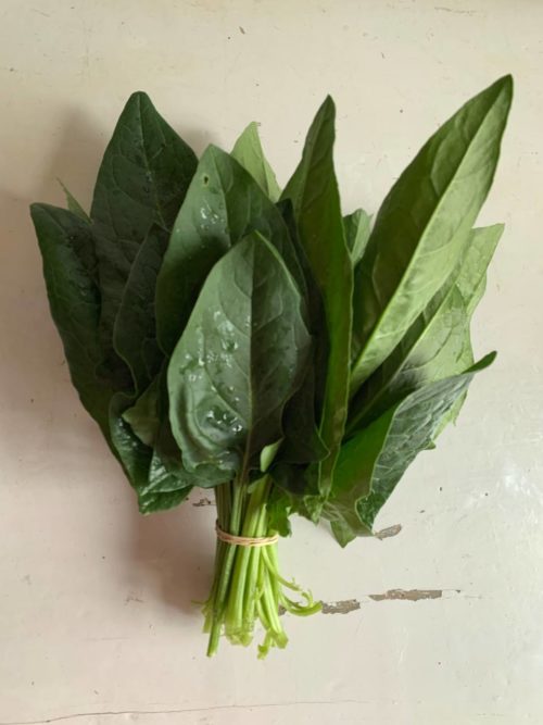 Espinaca manojo