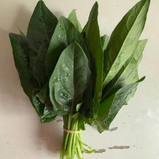 Espinaca manojo