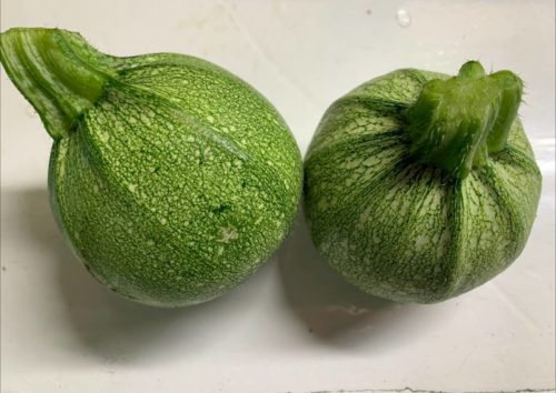 Calabacín luna