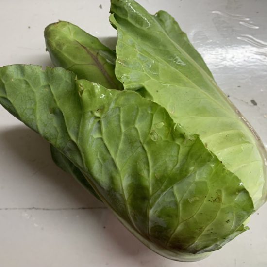Repollo picudo