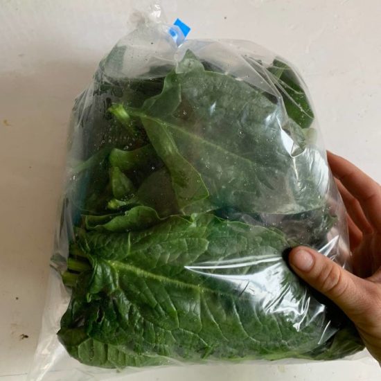 ESPINACA GRANEL