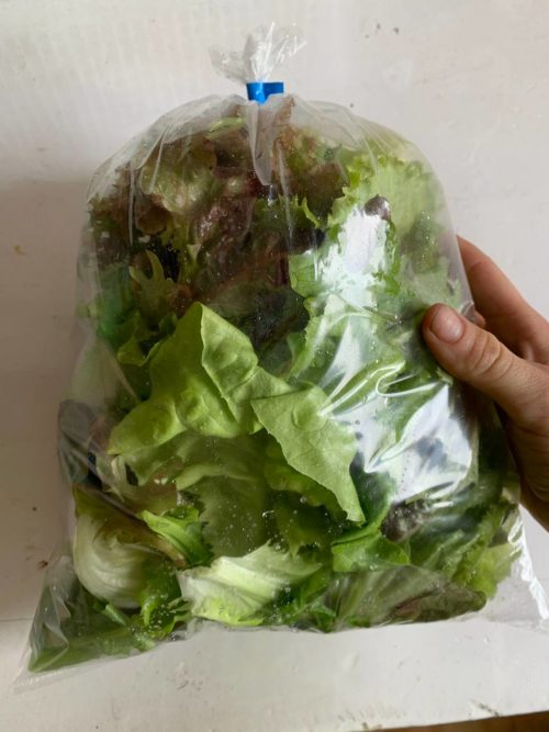 Mix ensalada