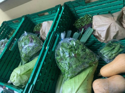 CESTA VARIADA (julio-agosto-septiembre)