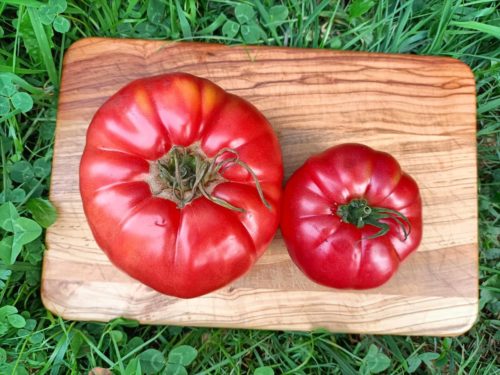 Tomate rosa de Sariego