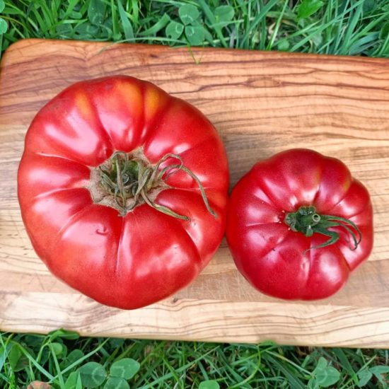 Tomate rosa de Sariego