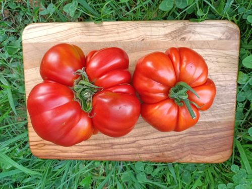Tomate ensalada