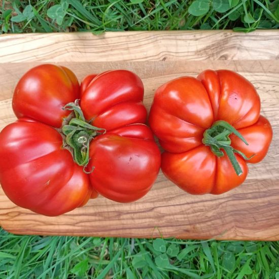 Tomate ensalada
