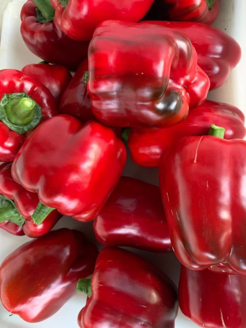 Pimiento rojo