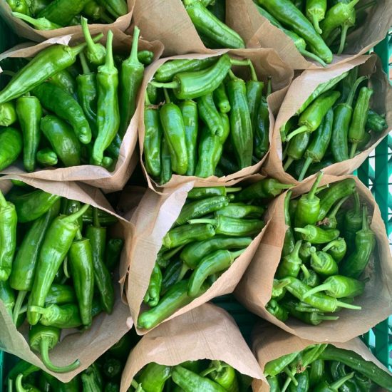 Pimiento padrón