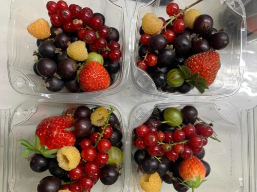 PEQUEÑOS FRUTOS