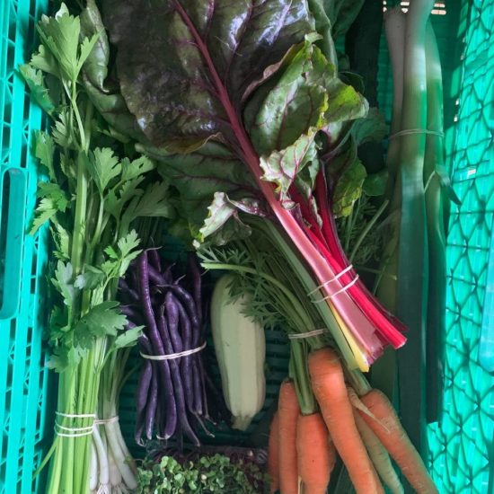 CESTA VARIADA ABRIL-MAYO-JUNIO