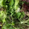 Mix ensalada