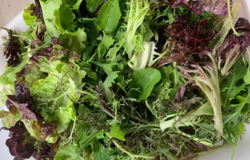 Mix ensalada
