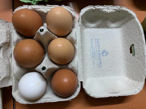 Huevos