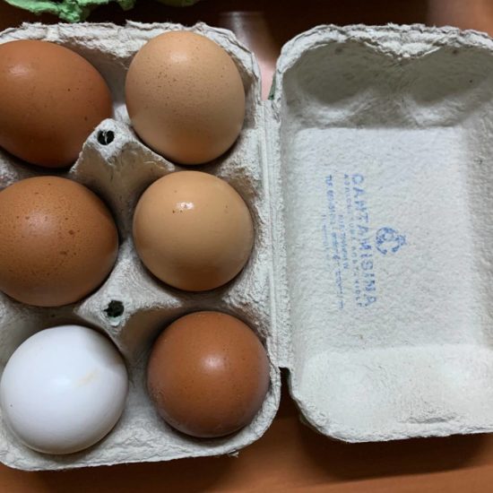Huevos