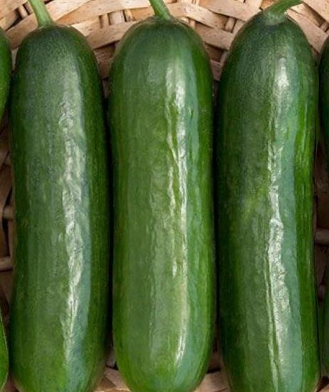 PEPINITOS