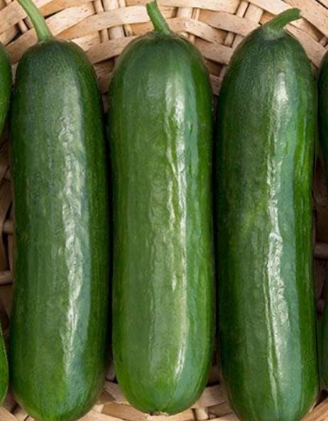 PEPINITOS