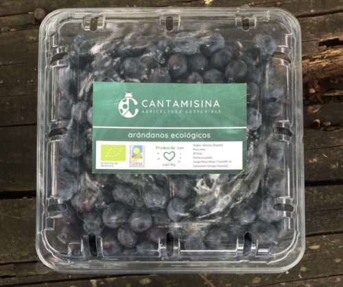 ARÁNDANOS 500gr