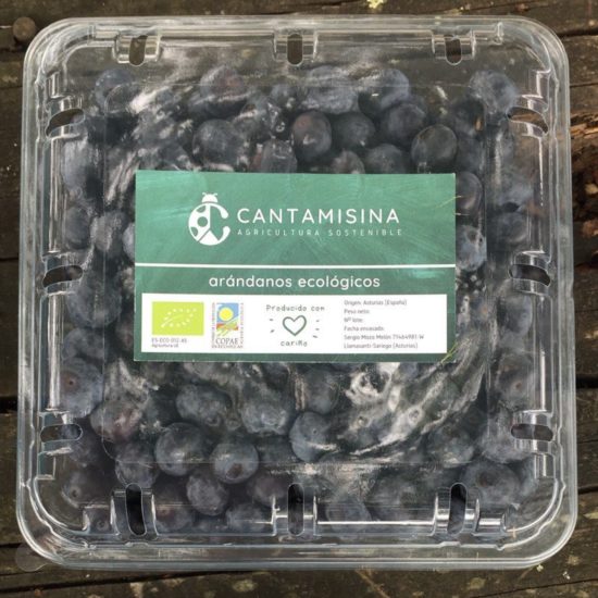 ARÁNDANOS 500gr