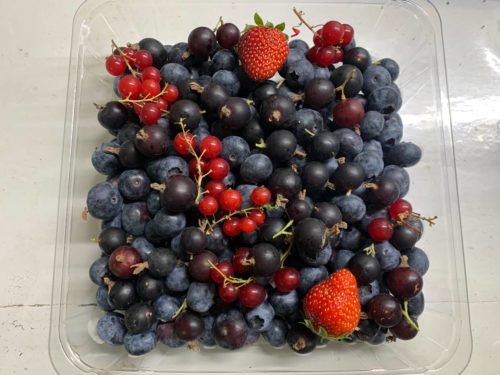 PEQUEÑOS FRUTOS XL