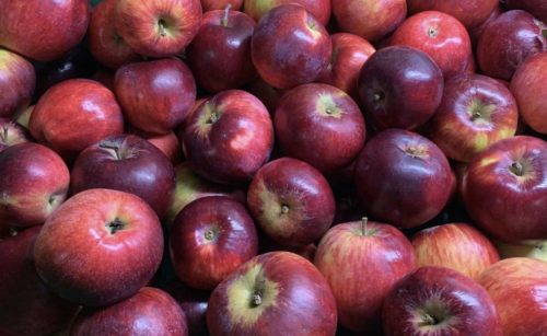 Manzana roja