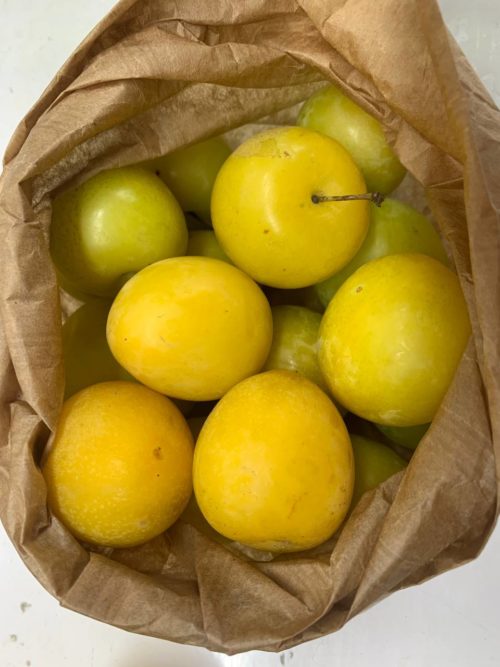 CIRUELA AMARILLA