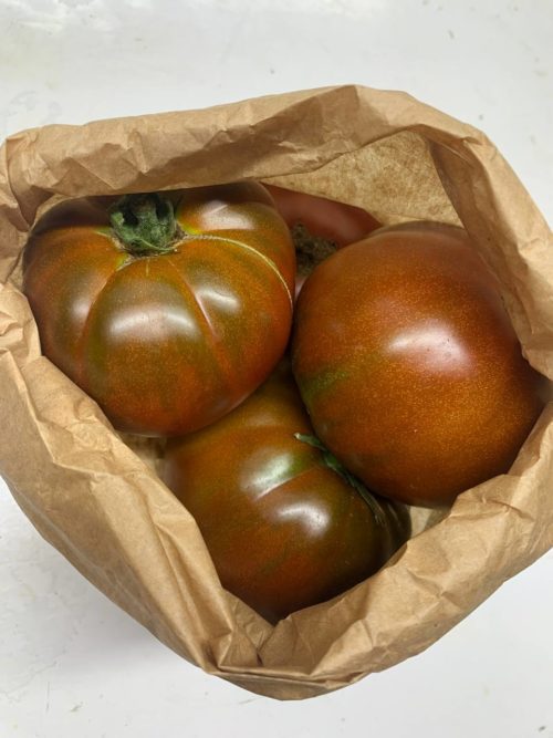 Tomate negro