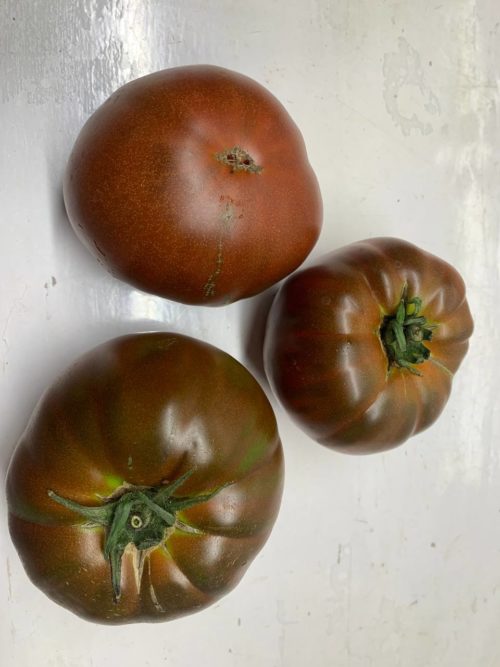 Tomate negro