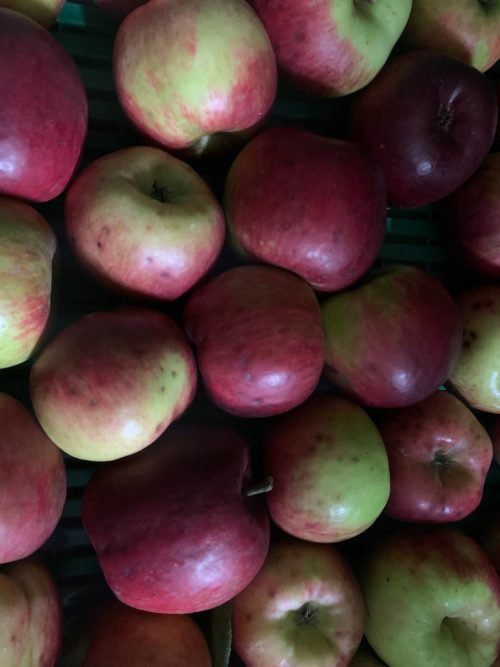 Manzana roja
