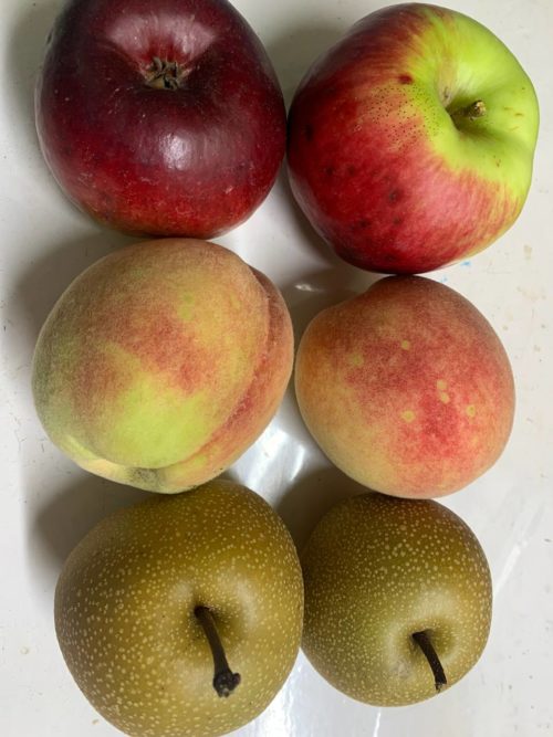 Lote fruta