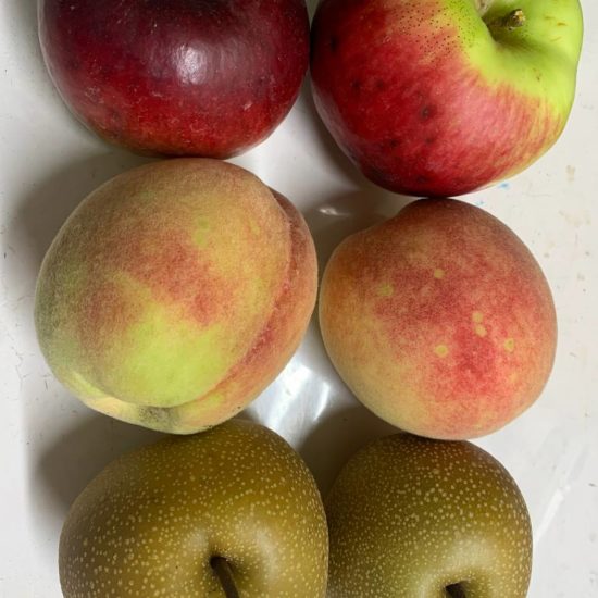 Lote fruta