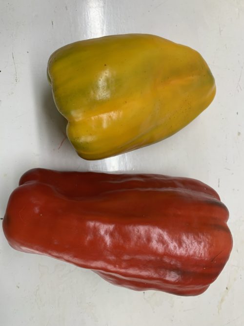 Pimiento amarillo y rojo