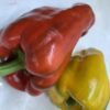 Pimiento amarillo y rojo