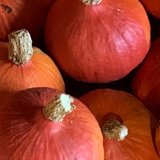 Calabaza potimarrón