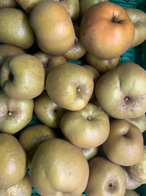 Manzana reineta