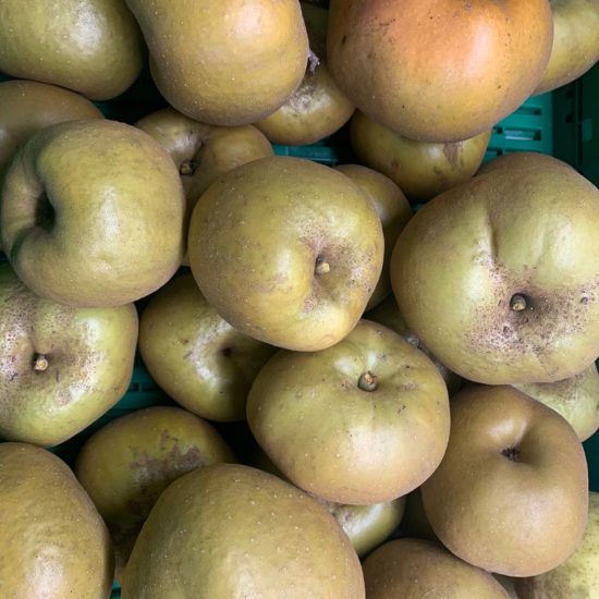 Manzana reineta