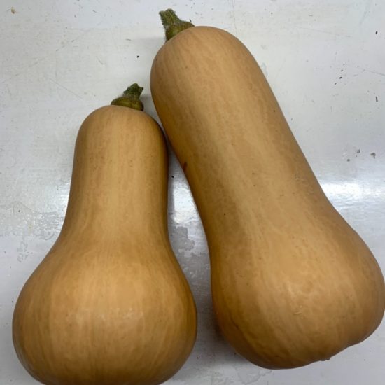 CALABAZA CACAHUETE