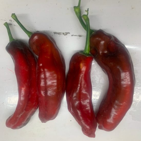 Pimiento italiano rojo