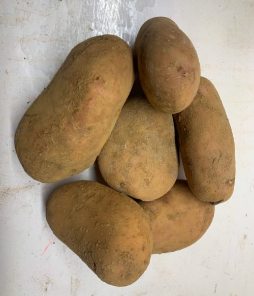 Patata*