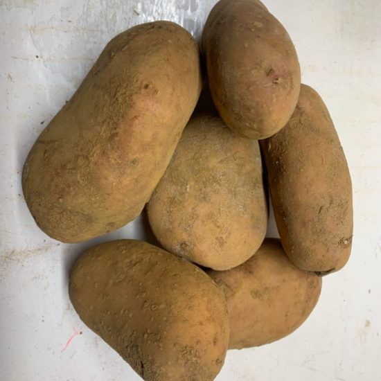 Patata*