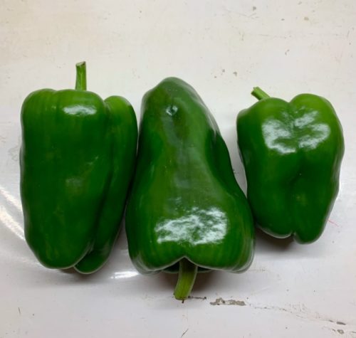 Pimiento verde