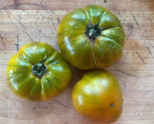 Tomate verde