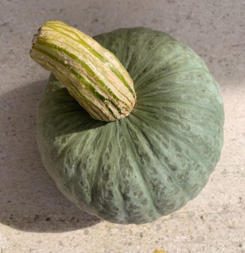 Calabaza verde