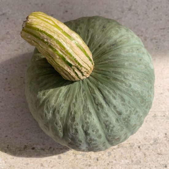 Calabaza verde