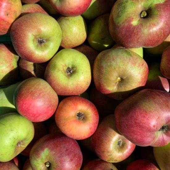 Manzana reineta encarnada
