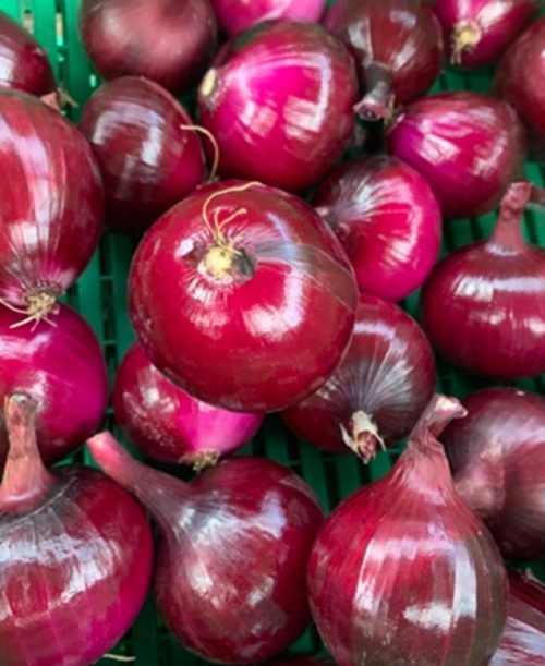 Cebolla roja*