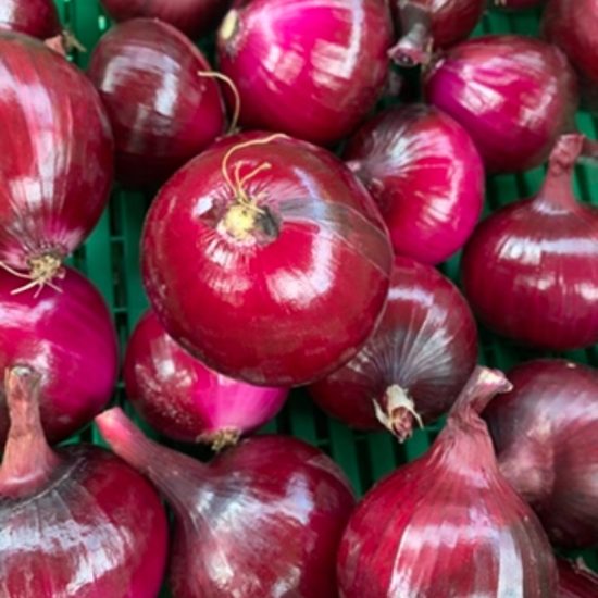 Cebolla roja*