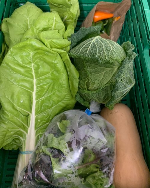 CESTA VARIADA QUINCENAL (ENE-FEB-MAR)